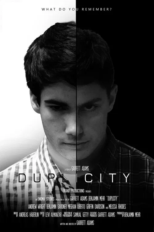Poster do filme Duplicity