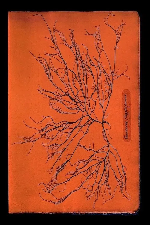 Ghost Protists movie poster