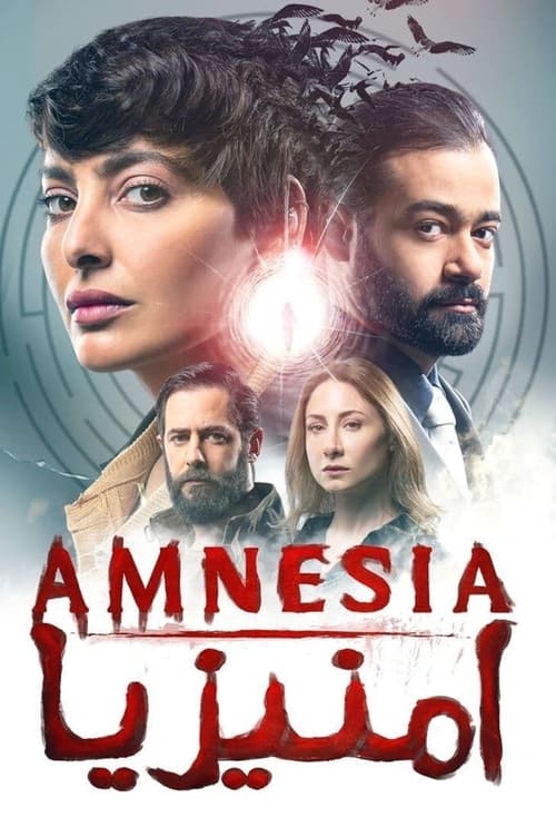 Amnesia tv show poster