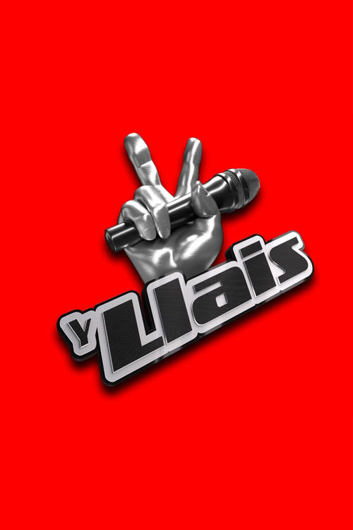 The Voice tv show poster
