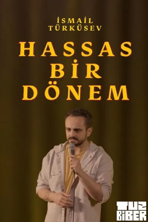 Poster do filme Hassas Bir Dönem - İsmail Türküsev