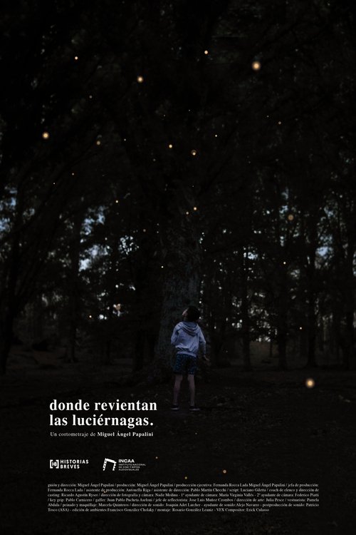 Where the fireflies burst movie poster