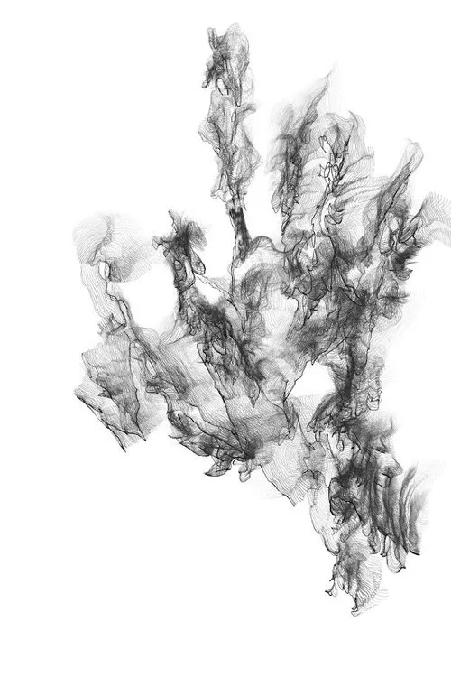 Perennial Stream movie poster