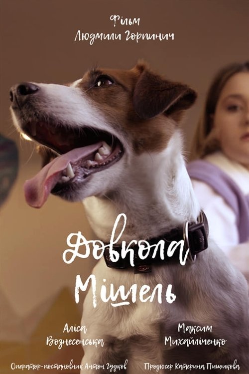 Around Michelle movie poster