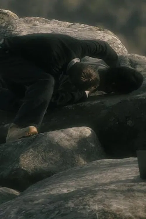 The Wanderer movie poster