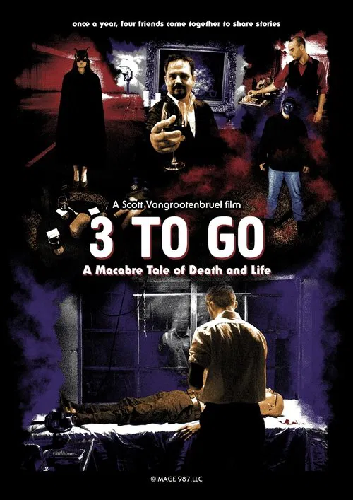 3 To Go movie poster