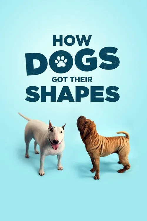 How Dogs Got Their Shapes movie poster