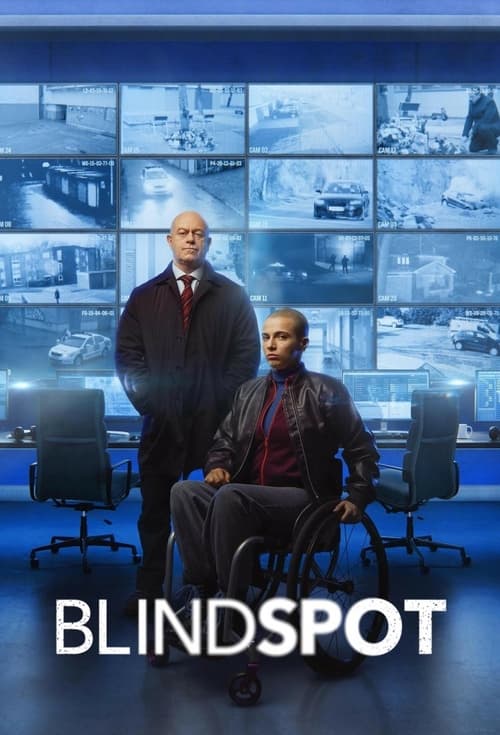 Blindspot tv show poster