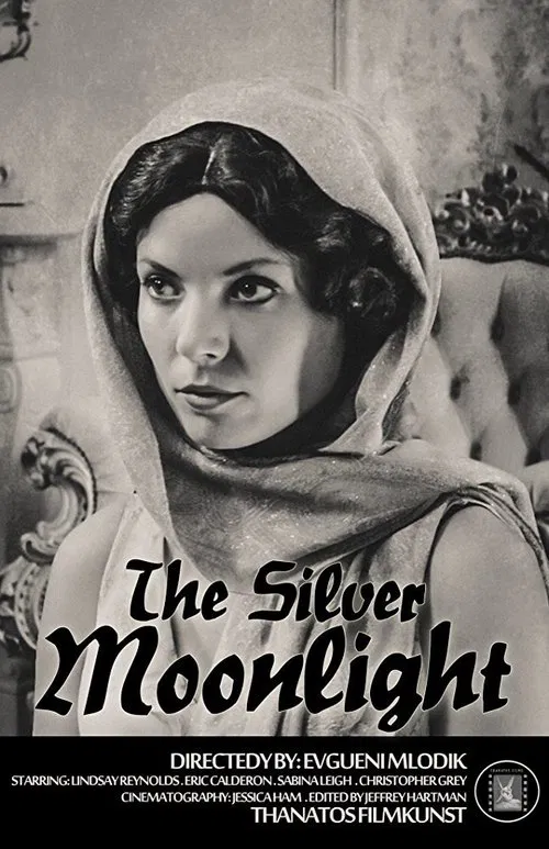 The Silver Moonlight movie poster