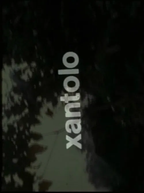 Xantolo, fiesta de la muerte movie poster