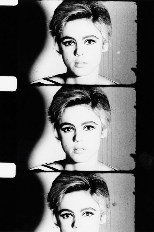 Screen Test: Edie Sedgwick movie poster