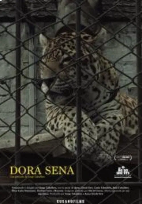 Dora Sena movie poster