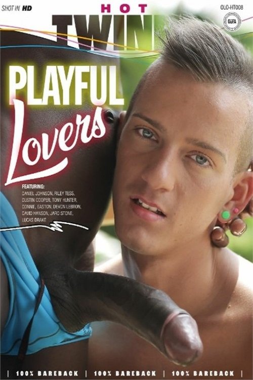 Playful Lovers movie poster