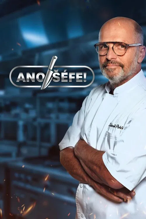 Yes, Boss! tv show poster