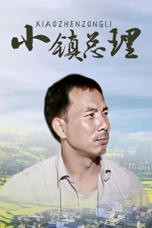 小镇总理 tv show poster