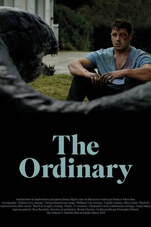 The Ordinary movie poster