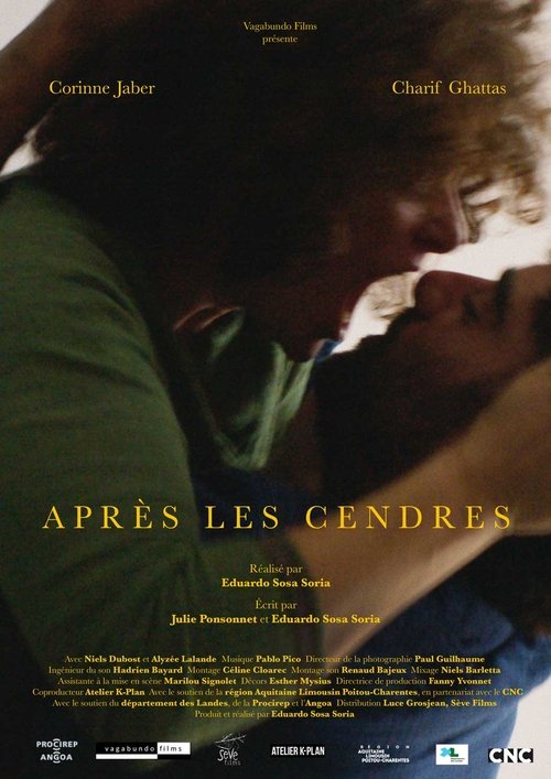 After the Ashes movie poster