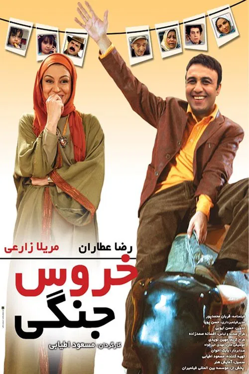 Fighter Rooster movie poster