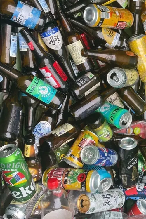 Poster do filme The Bouduuu Vlog