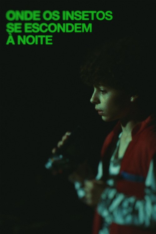 Where Insects Hide at Night movie poster