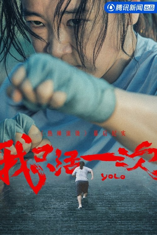 YOLO: I Only Live Once tv show poster