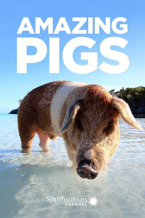 Amazing Pigs movie poster