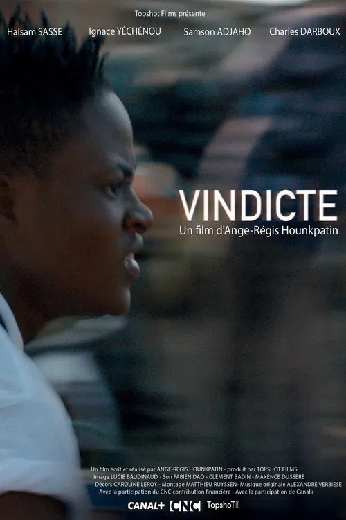 Vindicte movie poster