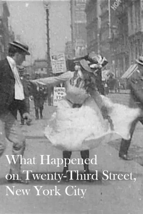 What Happened on Twenty-Third Street, New York City movie poster