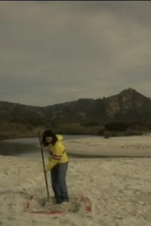 Why We Came movie poster