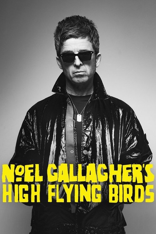 Noel Gallagher's High Flying Birds en concert au Zénith de Paris movie poster