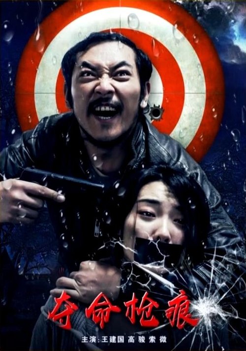 夺命枪痕 movie poster
