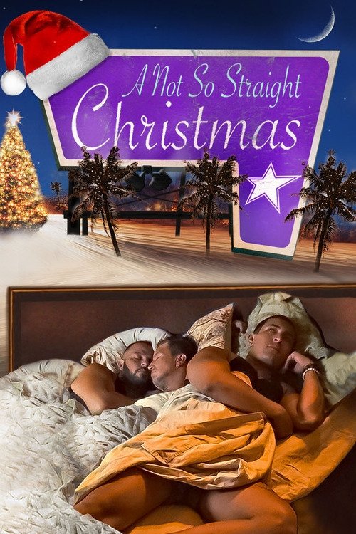 Poster do filme A Not So Straight Christmas