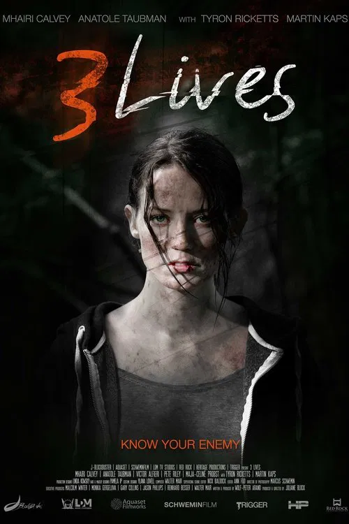 3 Lives movie poster
