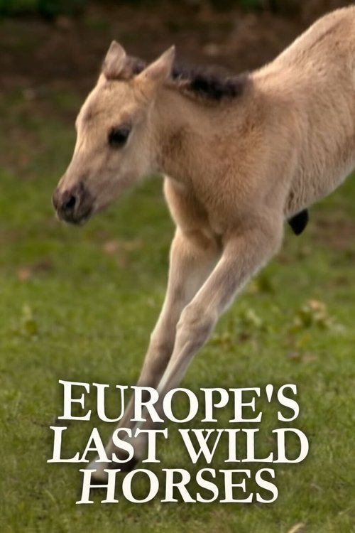 Europe's Last Wild Horses movie poster