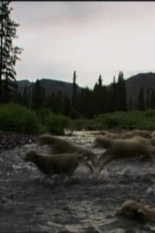 Hell Roaring Creek movie poster