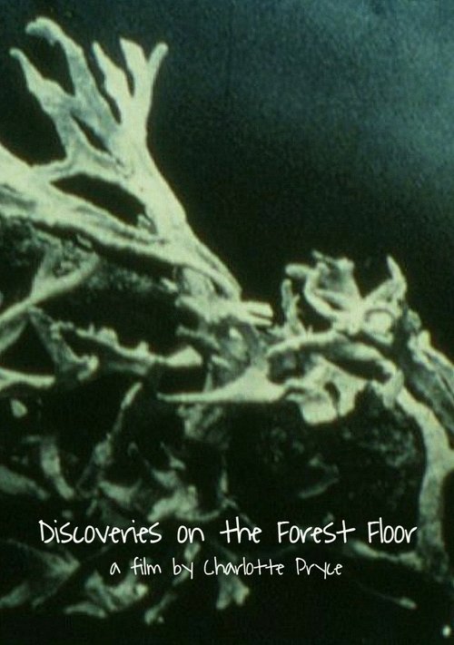 Discoveries on the Forest Floor 1-3 movie poster