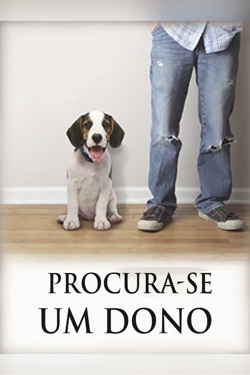 Poster do filme Procura-se um dono