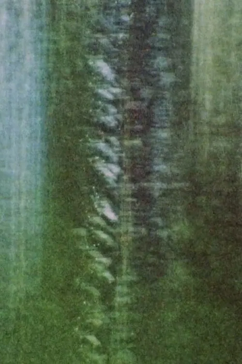 Rue De La Montagne movie poster