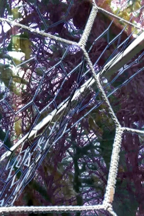 Poster do filme Zig Zag