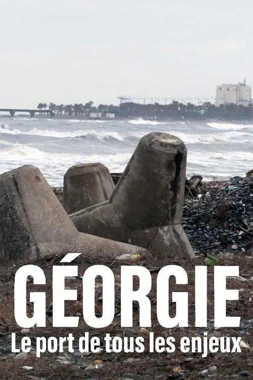 Géorgie - Le port de tous les enjeux movie poster