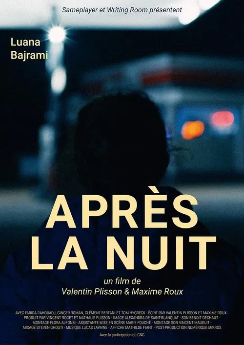 Poster do filme After the Night