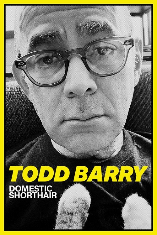 Todd Barry: Domestic Shorthair movie poster