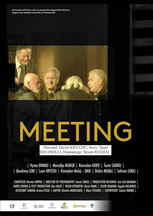 Meeting movie poster