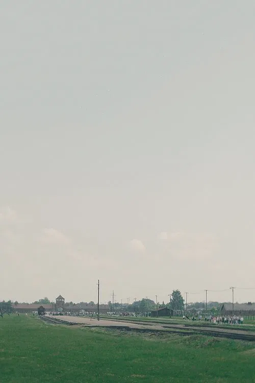 La Visite movie poster