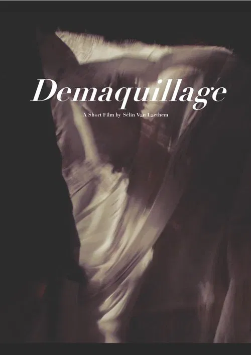 Demaquillage movie poster