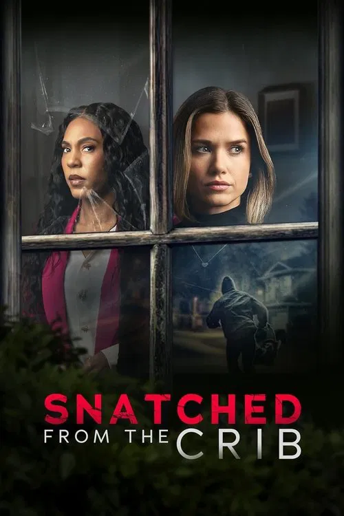 Snatched From The Crib movie poster