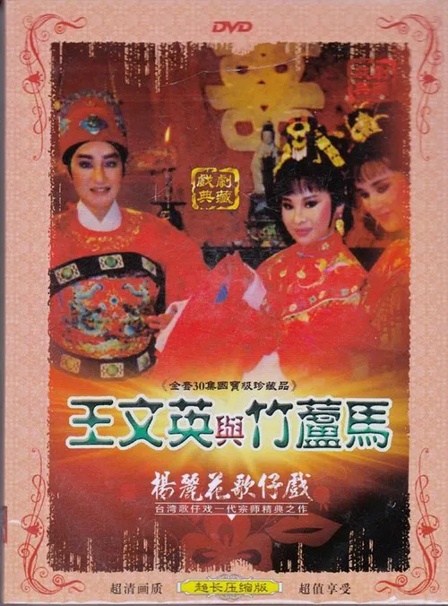 Poster da série 王文英與竹蘆馬