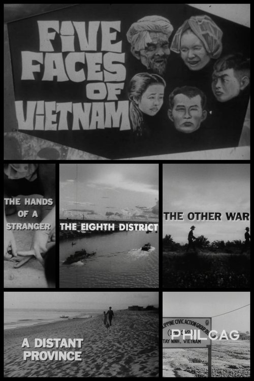 Poster do filme Five Faces of Vietnam