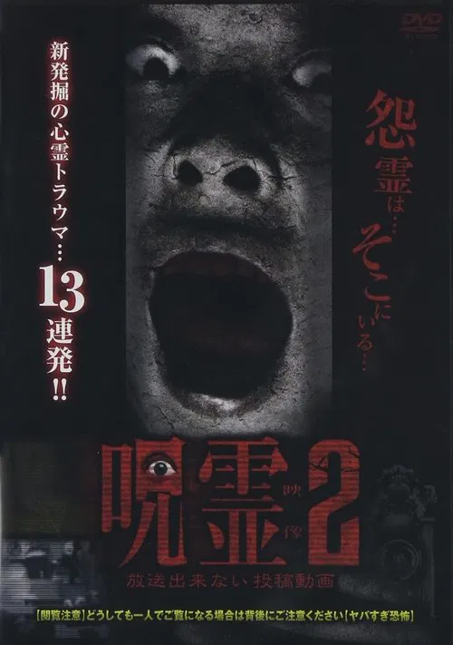 Submitted Ghost Videos That Cannot be Broadcast 2 movie poster