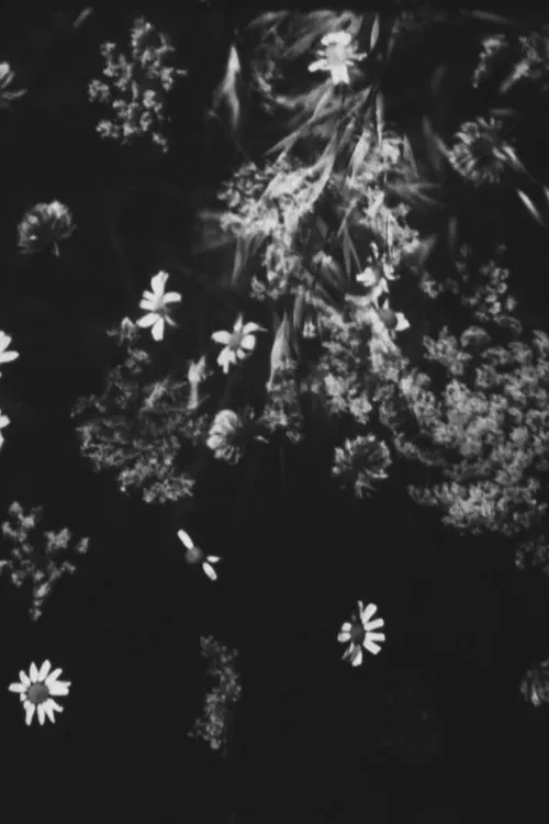 Artifício movie poster